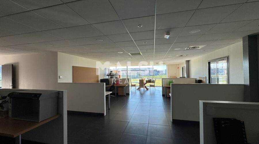 MALSH Realty & Property - Local d'activités - Andrézieux-Bouthéon - 4
