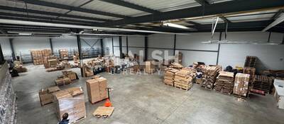 MALSH Realty & Property - Local d'activités - Andrézieux-Bouthéon - 5