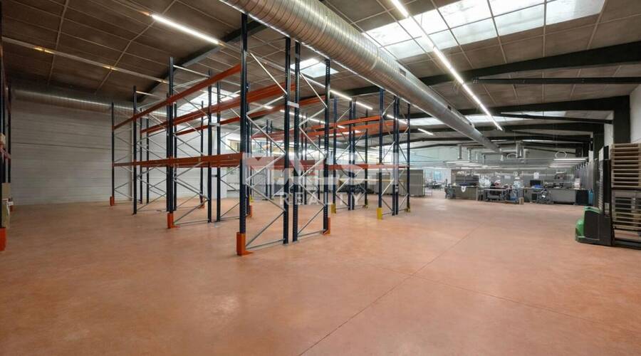 MALSH Realty & Property - Local d'activités - Lyon Nord Ouest (Techlid / Monts d'Or) - Champagne-au-Mont-d'Or - 3