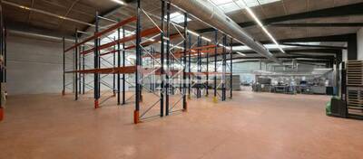 MALSH Realty & Property - Local d'activités - Lyon Nord Ouest (Techlid / Monts d'Or) - Champagne-au-Mont-d'Or - 3