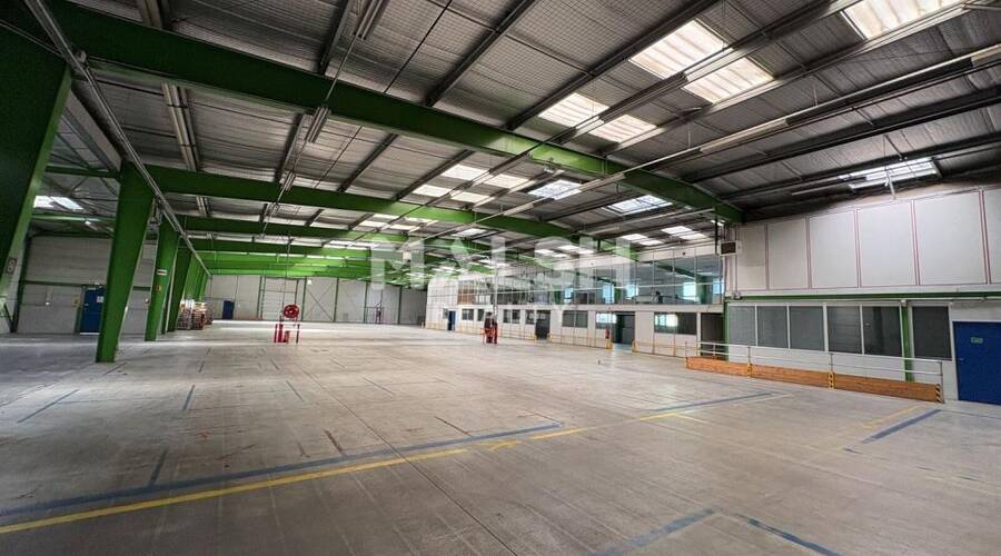 MALSH Realty & Property - Local d'activités - Lyon Sud Ouest - Brignais - 2