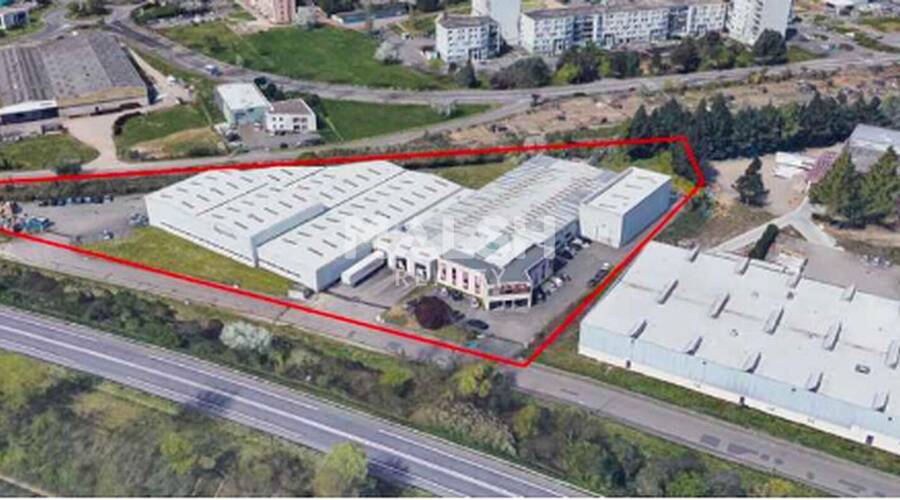 MALSH Realty & Property - Local d'activités - Lyon Sud Ouest - Brignais - 5