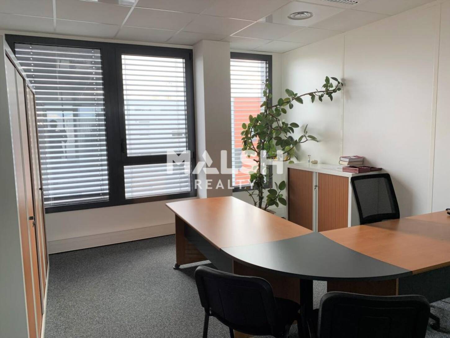 MALSH Realty & Property - Bureau - Villeurbanne - Vaulx-en-Velin - 2