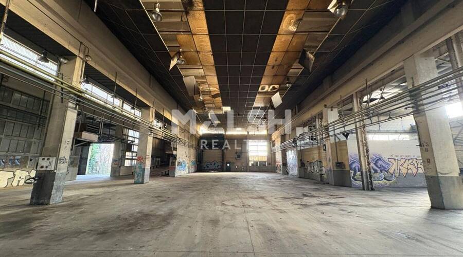 MALSH Realty & Property - Local d'activités - Lyon Sud Ouest - Givors - 3