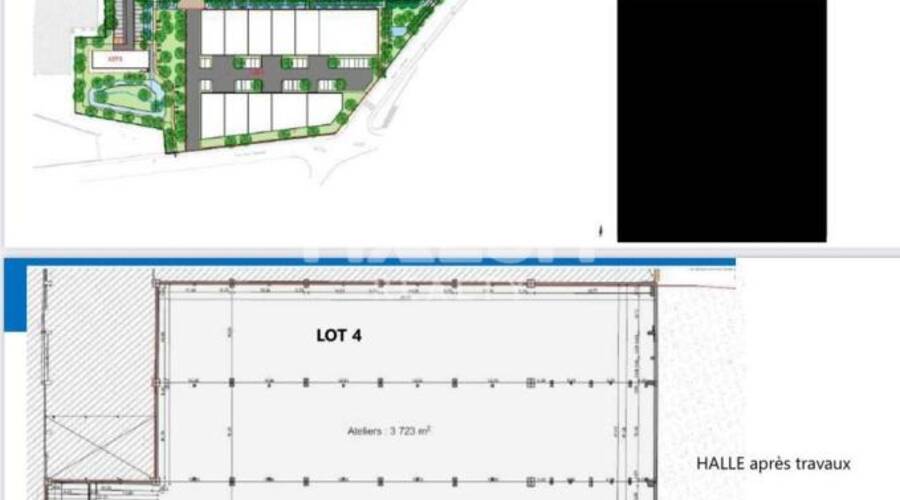 MALSH Realty & Property - Local d'activités - Lyon Sud Ouest - Givors - 7