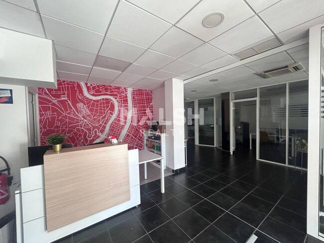 MALSH Realty & Property - Local commercial - Carré de Soie / Grand Clément / Bel Air - Villeurbanne - 1