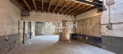 MALSH Realty & Property - Local commercial - Carré de Soie / Grand Clément / Bel Air - Villeurbanne - 1