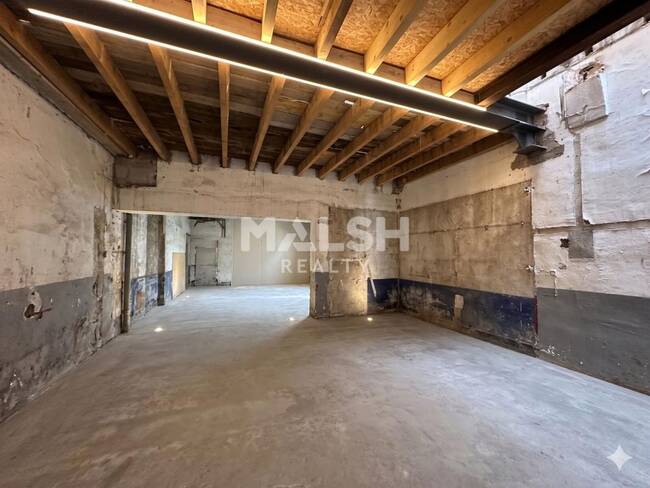 MALSH Realty & Property - Local commercial - Carré de Soie / Grand Clément / Bel Air - Villeurbanne - 1