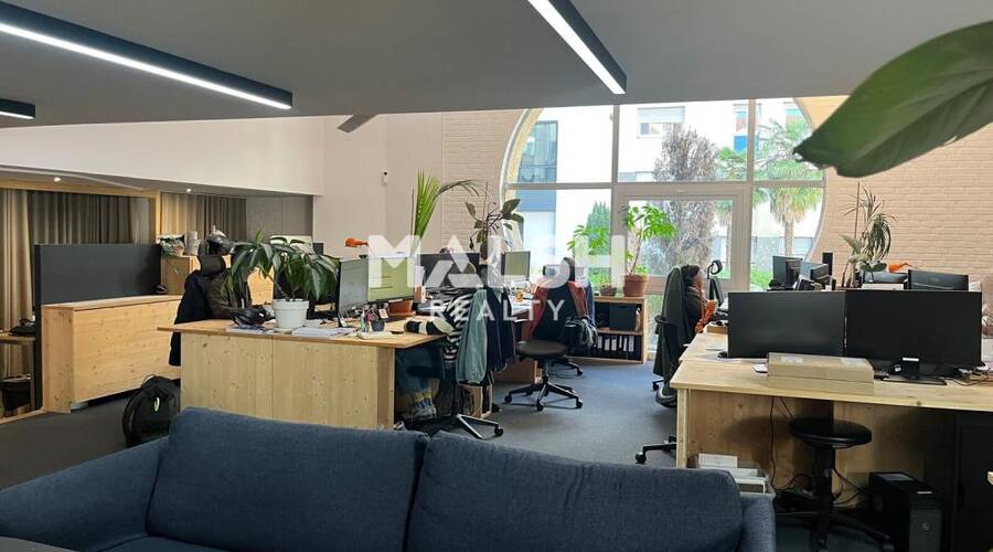 MALSH Realty & Property - Bureau - Lyon 6° - Lyon 6 - 3