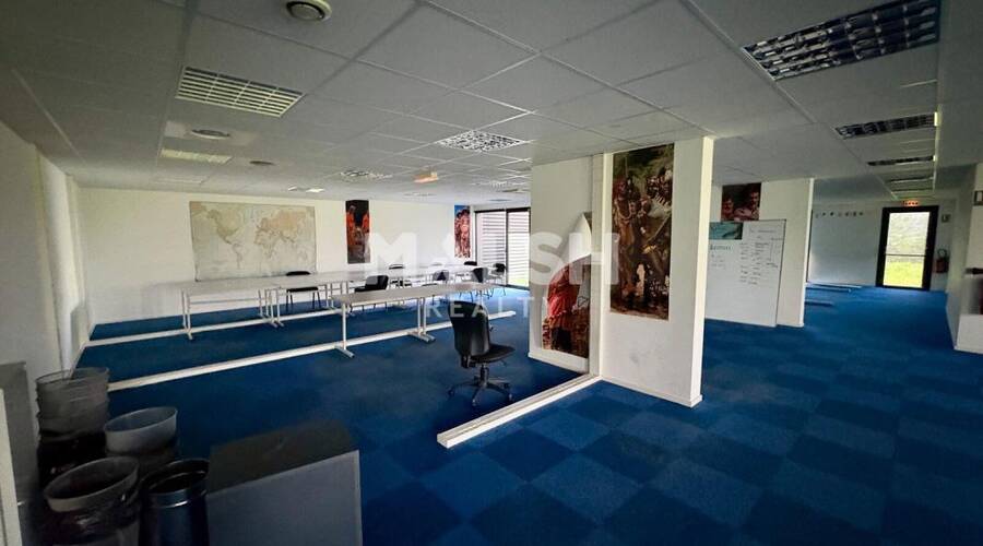 MALSH Realty & Property - Bureau - Extérieurs OUEST (Tarare / Arbresle) - Saint-Symphorien-sur-Coise - 4