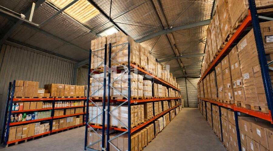 MALSH Realty & Property - Local d'activités - Nord Isère (Isle d'Abeau / St Quentin Falavier) - Saint-Quentin-Fallavier - 3