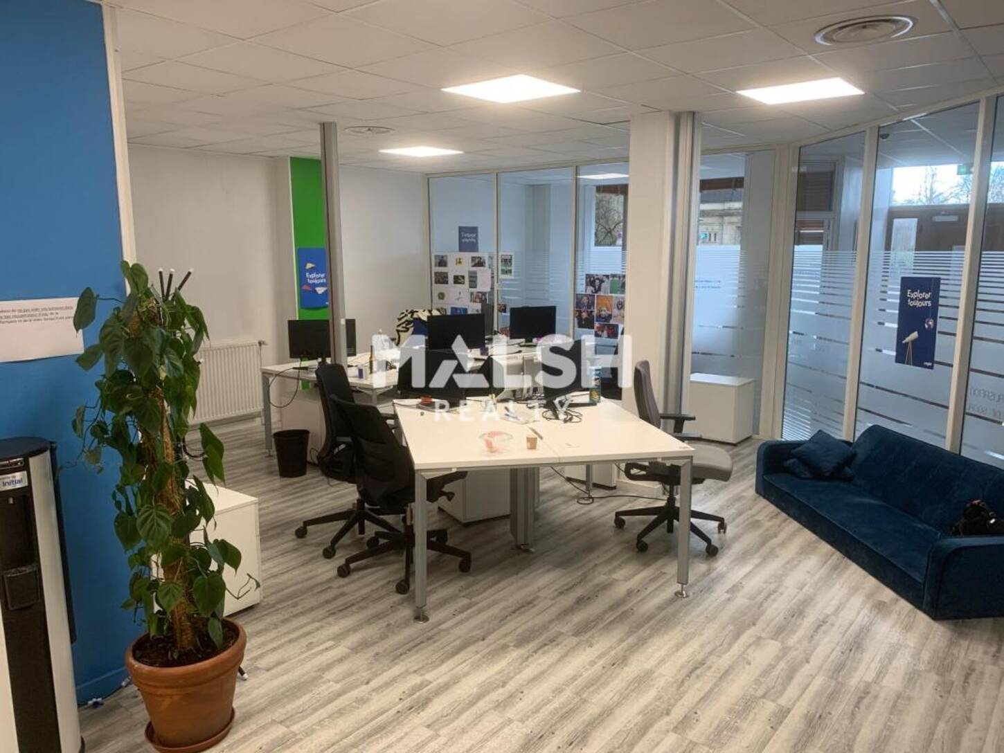 MALSH Realty & Property - Bureau - Lyon 6° - Lyon 6 - 2