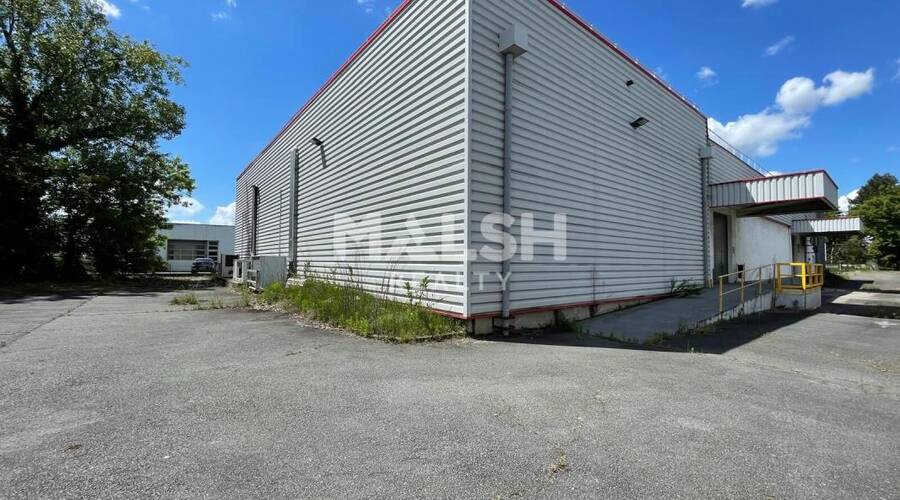 MALSH Realty & Property - Local d'activités - Lyon Nord Ouest (Techlid / Monts d'Or) - Dardilly - 1