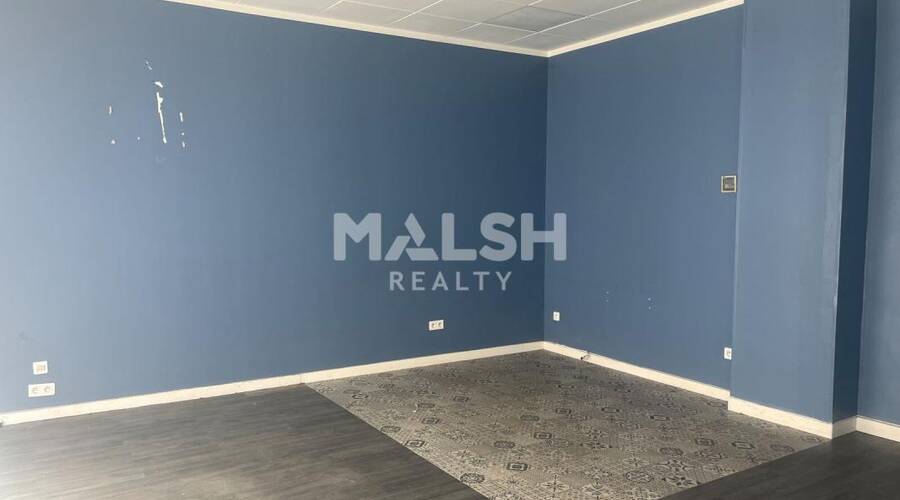 MALSH Realty & Property - Local commercial - Carré de Soie / Grand Clément / Bel Air - Villeurbanne - 5