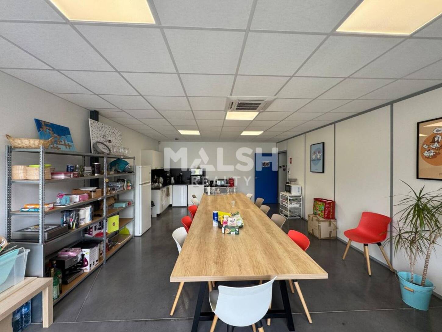 MALSH Realty & Property - Local d'activités - Andrézieux-Bouthéon - 2