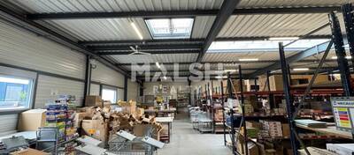 MALSH Realty & Property - Local d'activités - Andrézieux-Bouthéon - 9