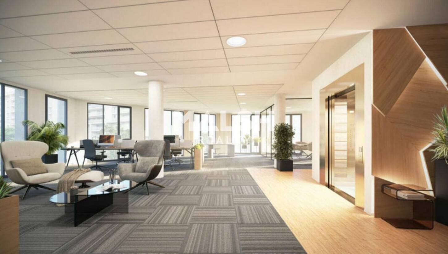 MALSH Realty & Property - Bureau - Carré de Soie / Grand Clément / Bel Air - Villeurbanne - 2