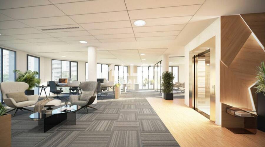 MALSH Realty & Property - Bureau - Carré de Soie / Grand Clément / Bel Air - Villeurbanne - 2