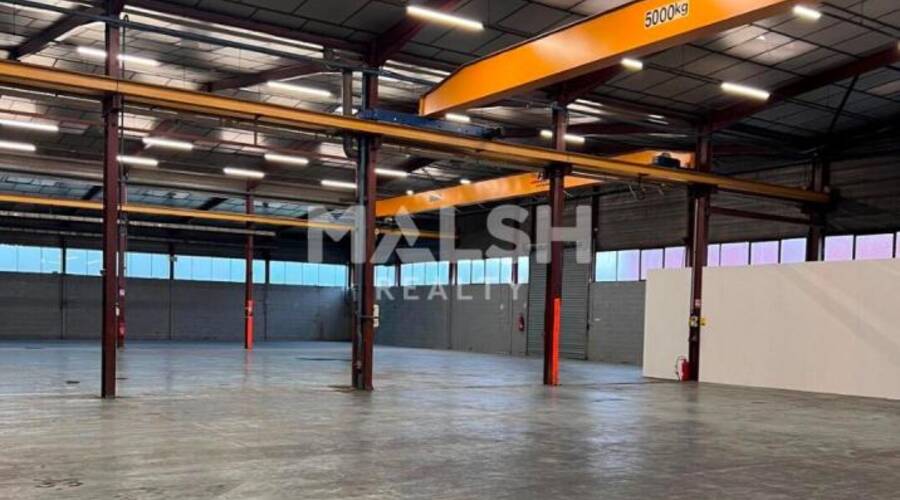 MALSH Realty & Property - Local d'activités - Carré de Soie / Grand Clément / Bel Air - Vaulx-en-Velin - 3