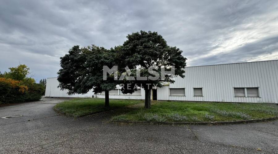 MALSH Realty & Property - Local d'activités - Lyon EST (St Priest /Mi Plaine/ A43 / Eurexpo) - Bron - 5