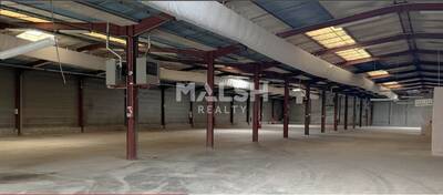 MALSH Realty & Property - Local d'activités - Lyon EST (St Priest /Mi Plaine/ A43 / Eurexpo) - Bron - 3