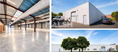 MALSH Realty & Property - Local d'activités - Lyon EST (St Priest /Mi Plaine/ A43 / Eurexpo) - Bron - 7