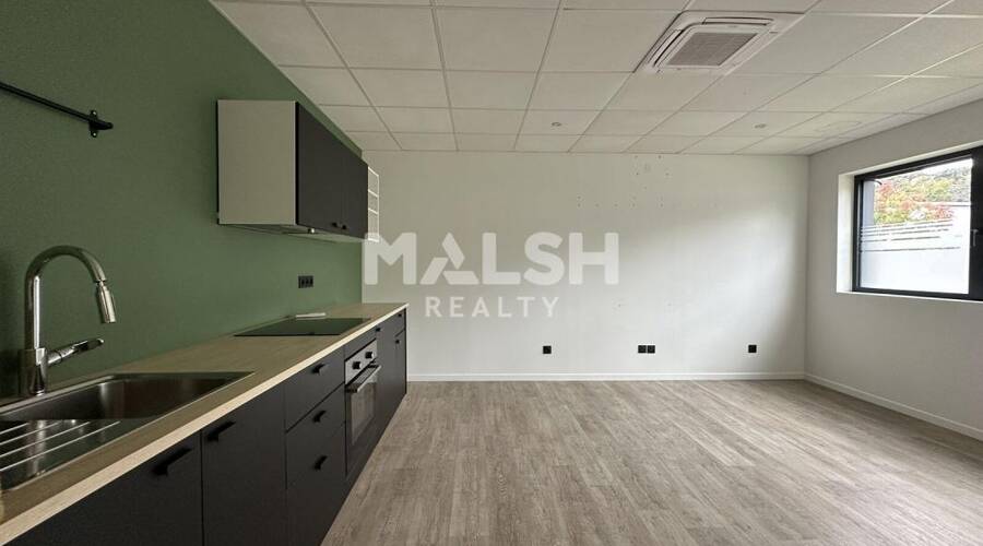 MALSH Realty & Property - Local d'activités - Extérieurs NORD (Villefranche / Belleville) - Gleizé - 11