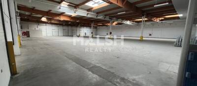 MALSH Realty & Property - Local d'activités - Nord Isère (Isle d'Abeau / St Quentin Falavier) - Saint-Quentin-Fallavier - 6