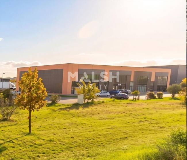 MALSH Realty & Property - Local commercial - Nord Isère (Isle d'Abeau / St Quentin Falavier) - Saint-Quentin-Fallavier - 1