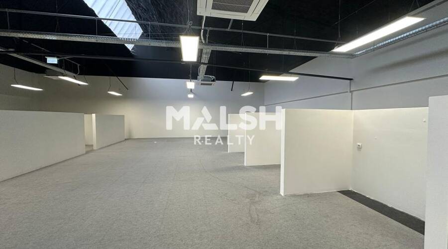 MALSH Realty & Property - Bureau - Val de Saône - Caluire-et-Cuire - 3