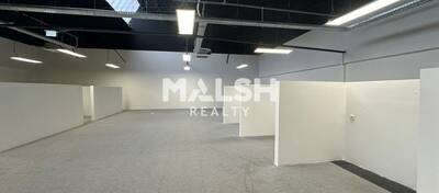 MALSH Realty & Property - Bureau - Val de Saône - Caluire-et-Cuire - 3