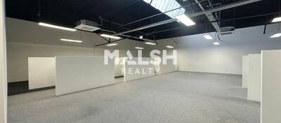 MALSH Realty & Property - Bureau - Val de Saône - Caluire-et-Cuire - 4