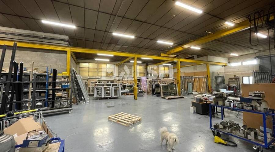 MALSH Realty & Property - Local d'activités - Plaine de l'Ain - Loyettes - 5