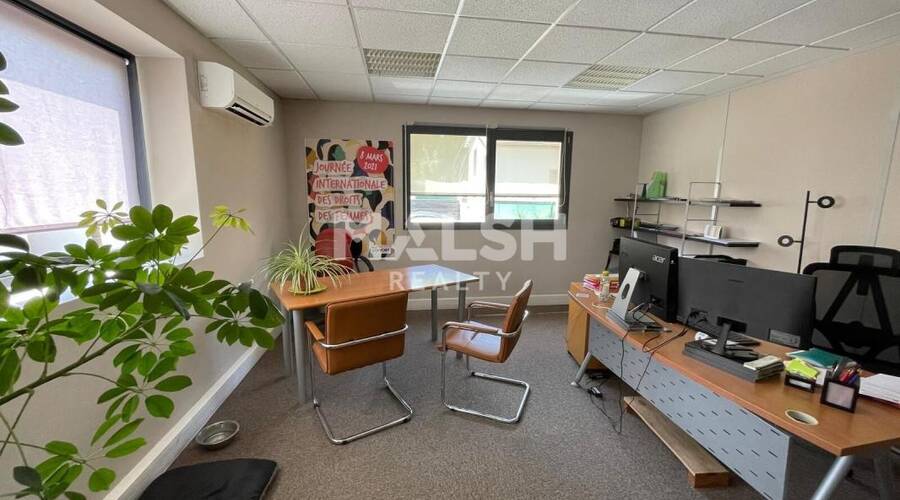 MALSH Realty & Property - Local d'activités - Lyon Nord Ouest (Techlid / Monts d'Or) - Champagne-au-Mont-d'Or - 6