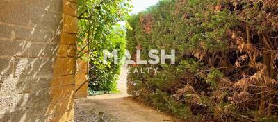 MALSH Realty & Property - Bureau - Extérieurs NORD (Villefranche / Belleville) - Villefranche-sur-Saône - 9
