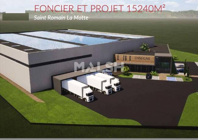 MALSH Realty & Property - Terrain - Nord 42 - Saint-Romain-la-Motte - 1