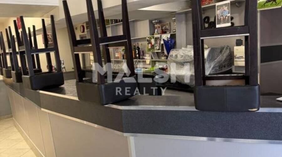 MALSH Realty & Property - Local commercial - Nord Isère (Isle d'Abeau / St Quentin Falavier) - Frontonas - 6