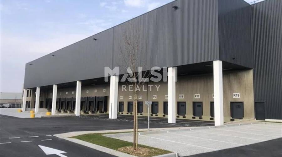 MALSH Realty & Property - Local d'activités - Lyon Sud Est - Corbas - 7