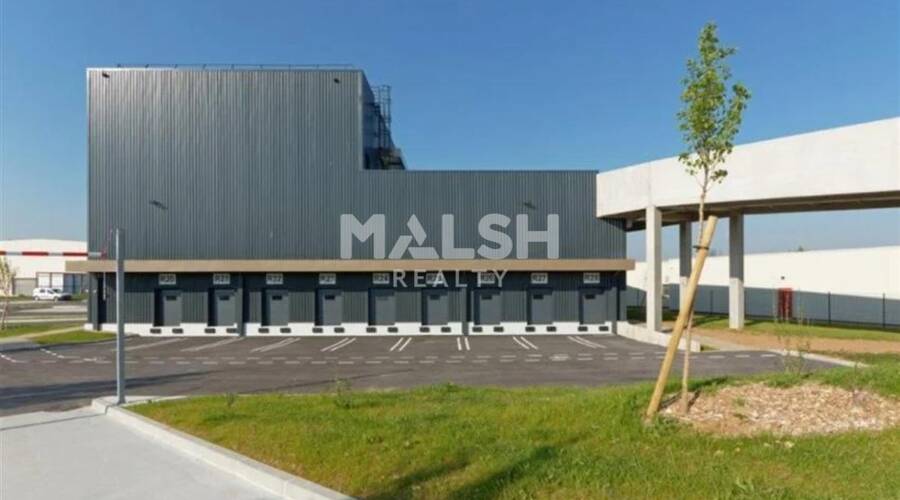 MALSH Realty & Property - Local d'activités - Lyon Sud Est - Corbas - 15