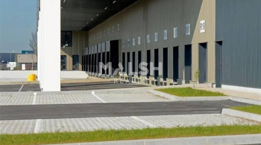 MALSH Realty & Property - Local d'activités - Lyon Sud Est - Corbas - 16