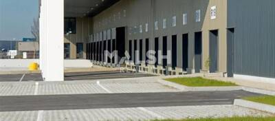 MALSH Realty & Property - Local d'activités - Lyon Sud Est - Corbas - 16