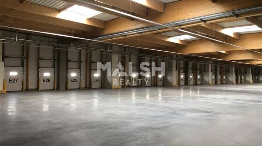 MALSH Realty & Property - Local d'activités - Lyon Sud Est - Corbas - 22