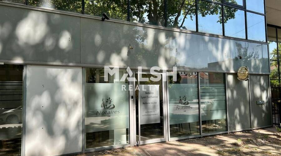 MALSH Realty & Property - Bureau - Lyon 2 - Lyon 2 - 1