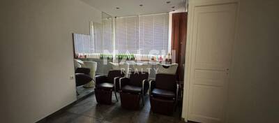 MALSH Realty & Property - Local commercial - Lyon Nord Est (Rhône Amont) - Villeurbanne - 3