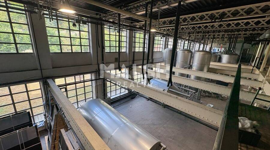 MALSH Realty & Property - Local d'activités - Extérieurs OUEST (Tarare / Arbresle) - Tarare - 3