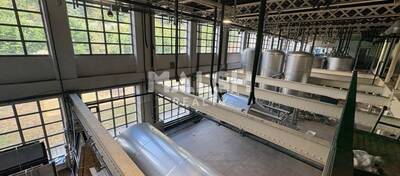 MALSH Realty & Property - Local d'activités - Extérieurs OUEST (Tarare / Arbresle) - Tarare - 3