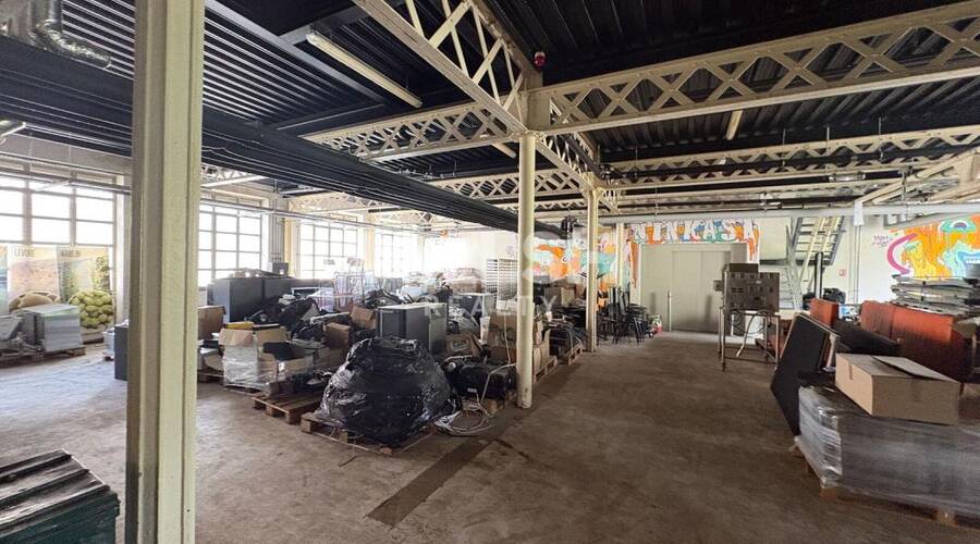 MALSH Realty & Property - Local d'activités - Extérieurs OUEST (Tarare / Arbresle) - Tarare - 4