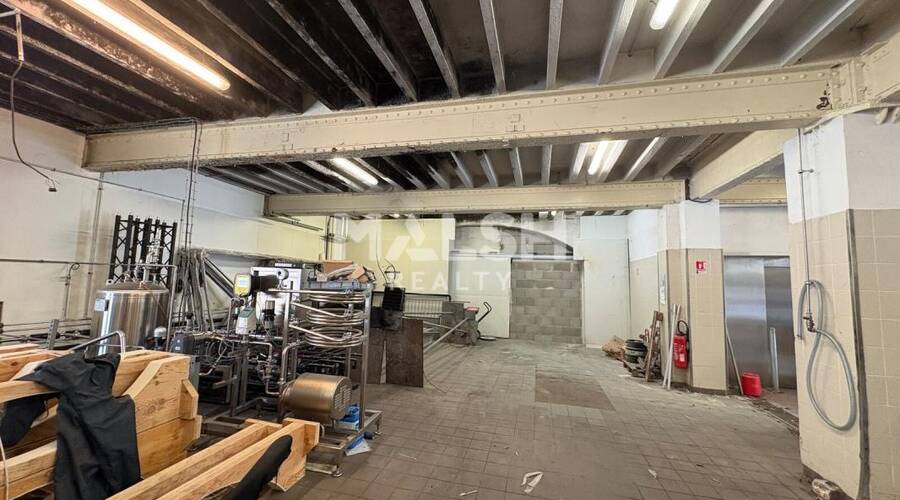 MALSH Realty & Property - Local d'activités - Extérieurs OUEST (Tarare / Arbresle) - Tarare - 7