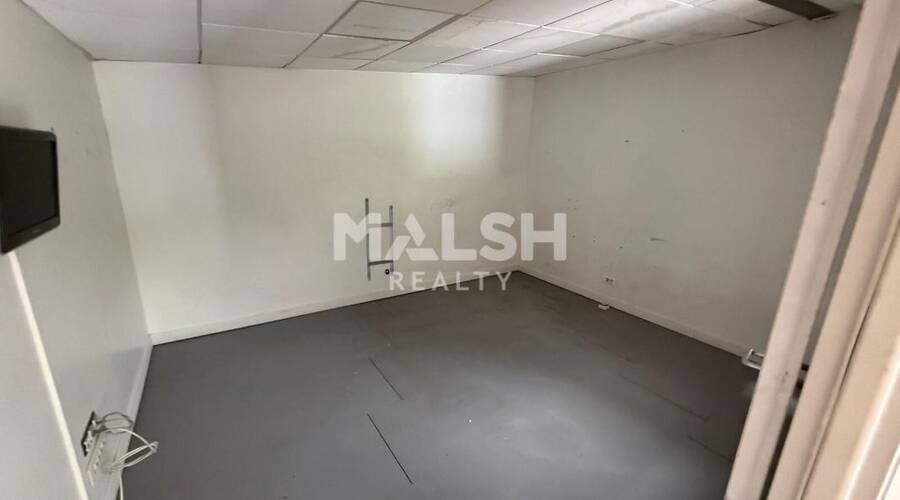 MALSH Realty & Property - Local d'activités - Extérieurs SUD (Vallée du Rhône) - Ternay - 3