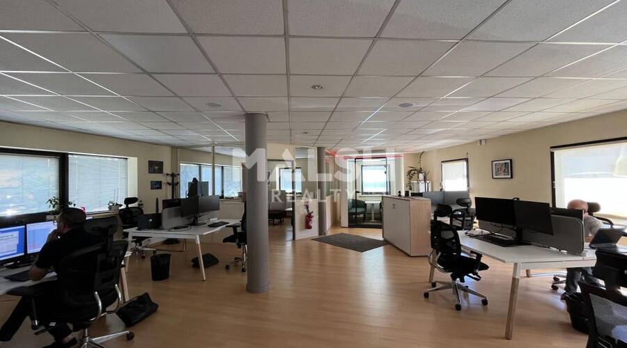 MALSH Realty & Property - Local d'activités - Lyon EST (St Priest /Mi Plaine/ A43 / Eurexpo) - Chassieu - 15